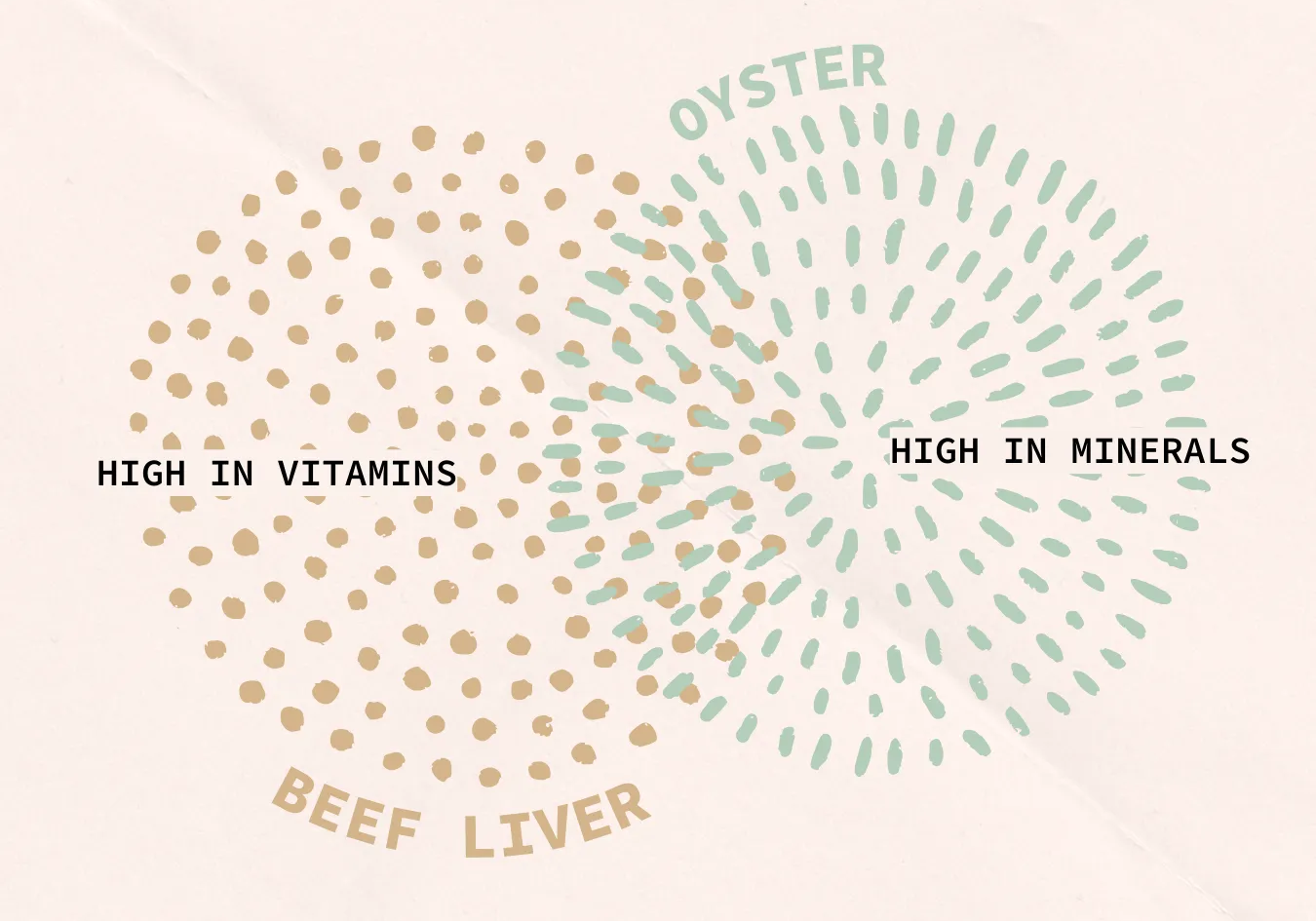 Oysters & Grass-Fed Organs: The Dynamic Duo for a Natural Energy Boost